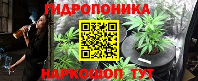 молекула духа Малгобек
