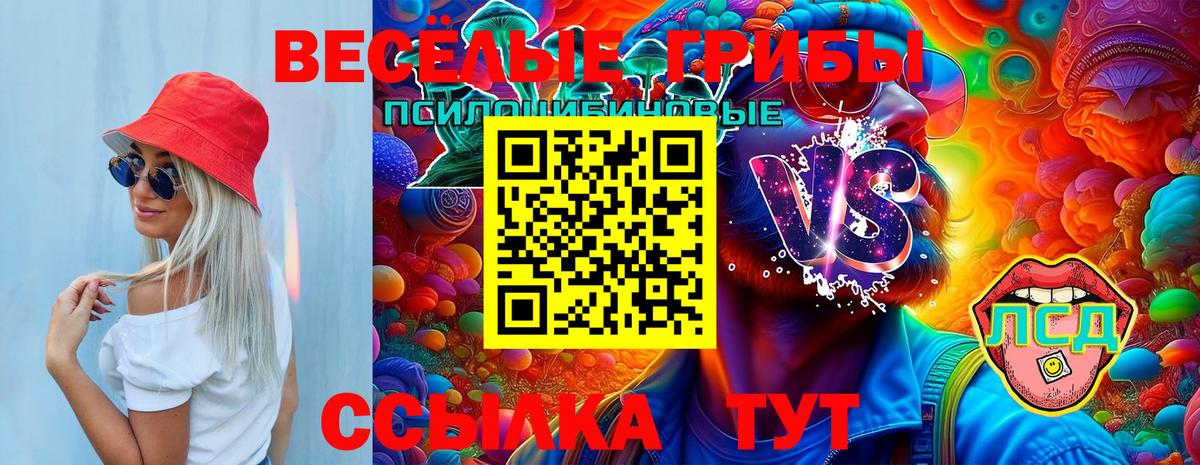 Галлюциногенные грибы GOLDEN TEACHER Чита