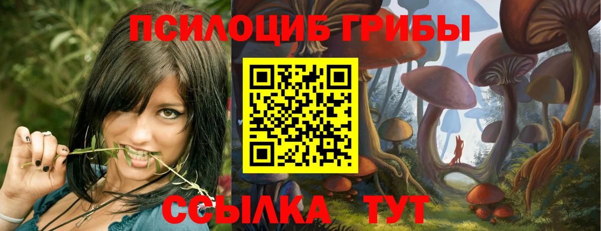 Псилоцибиновые грибы прущие грибы  Галлюциногенные грибы ЛСД  Вход с VPN  Чита 